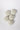 Fragrance Balm Refill – Woodpetal