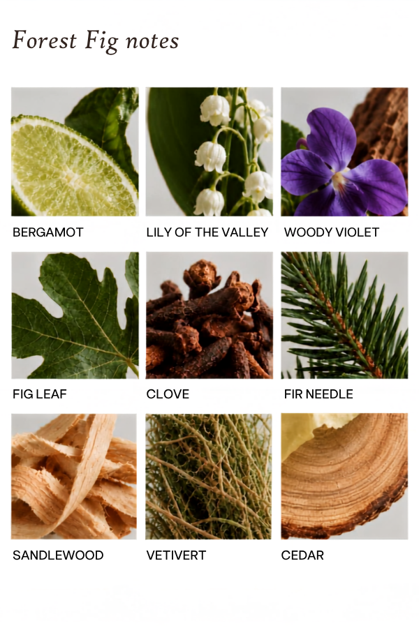 Fragrance Discovery Set